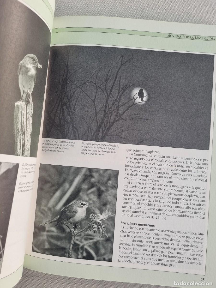Libros de segunda mano: Aves cantoras - C&oacute;mo atraerlas e identificar su canto - Chris Harbard - Foto 10