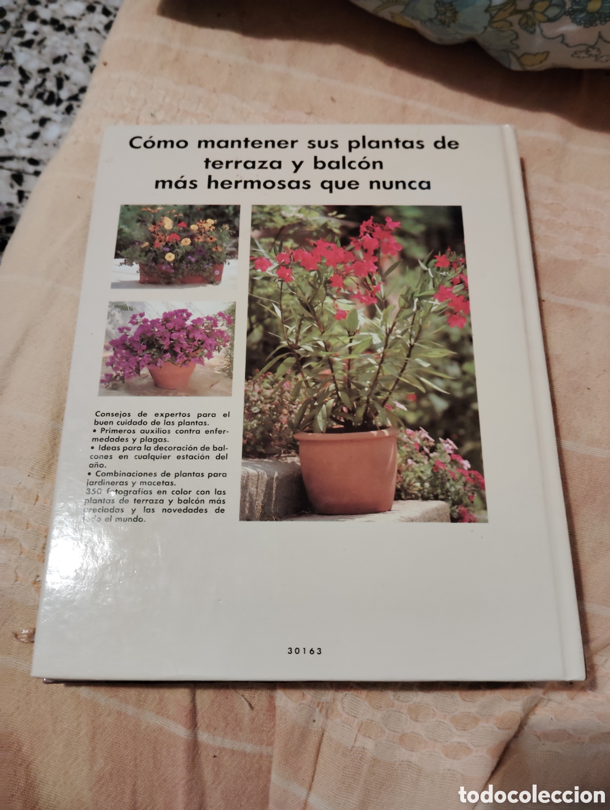 Libros de segunda mano: EL GRAN LIBRO DE PLANTAS DE TERRAZA Y BALCON / HALINA HEITZ , 1992 - Foto 2