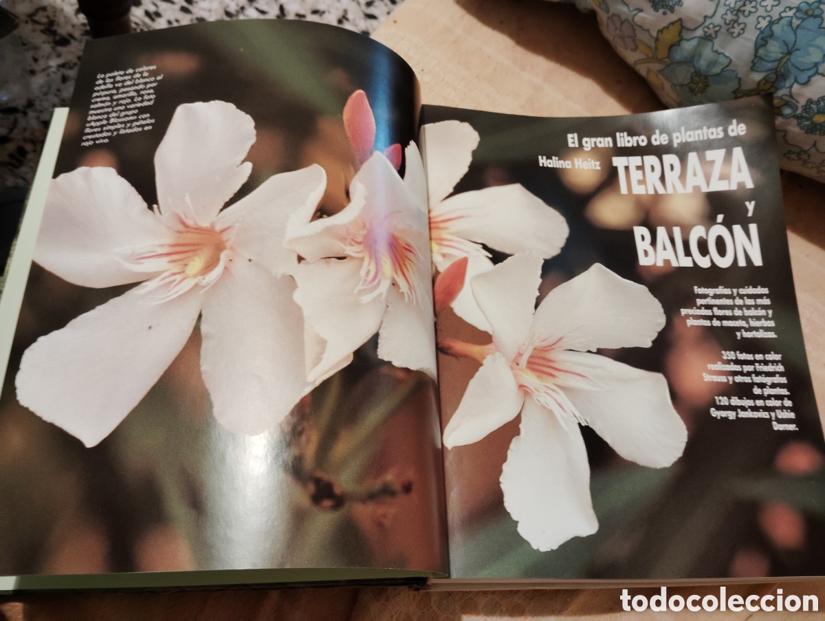 Libros de segunda mano: EL GRAN LIBRO DE PLANTAS DE TERRAZA Y BALCON / HALINA HEITZ , 1992 - Foto 3