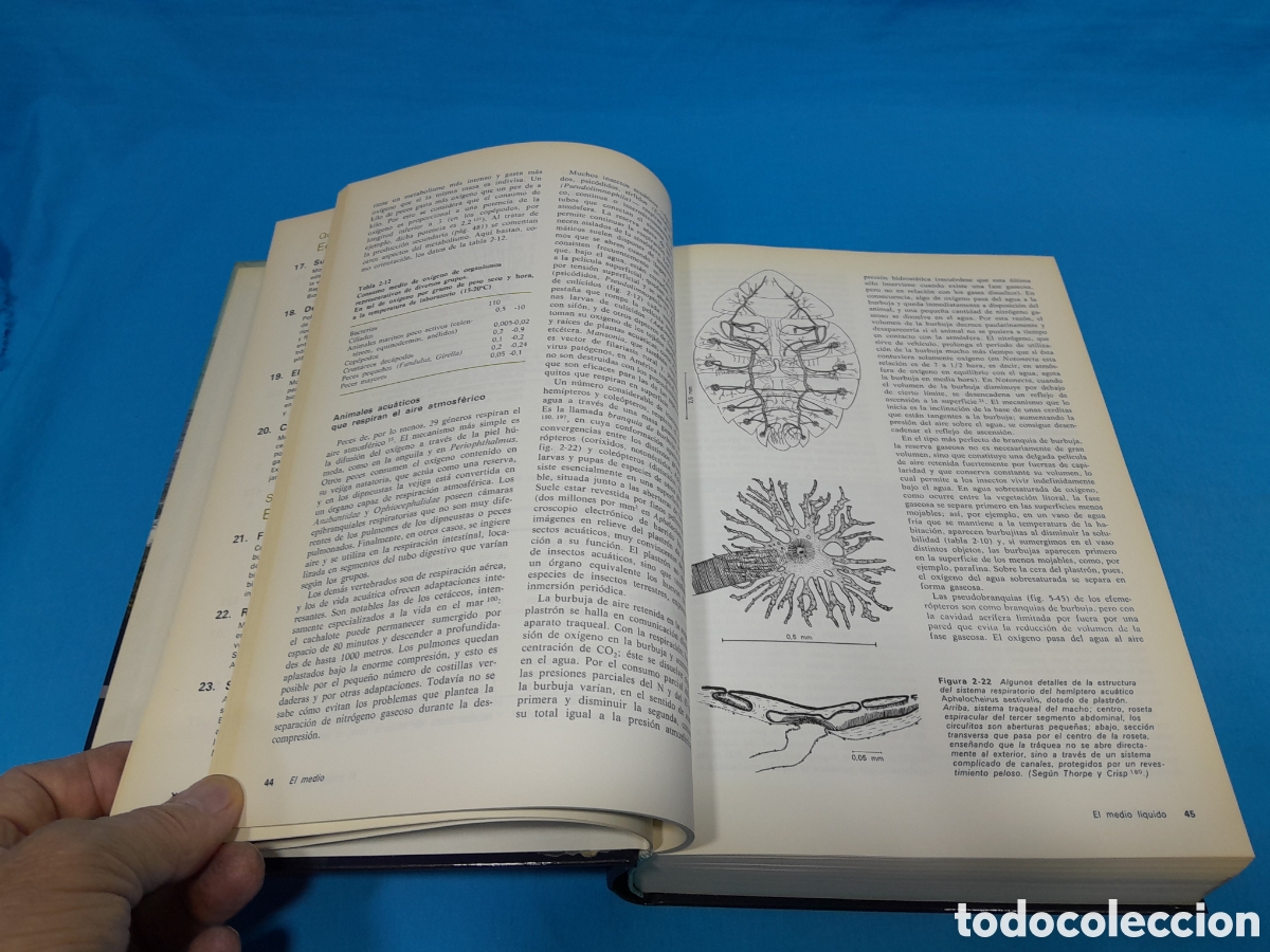 Libros de segunda mano: ECOLOG&Iacute;A - RAM&Oacute;N MENGUAL, 1986 - Foto 3