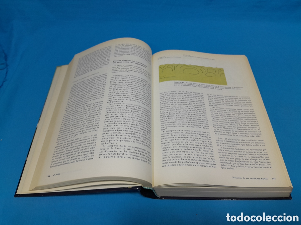 Libros de segunda mano: ECOLOG&Iacute;A - RAM&Oacute;N MENGUAL, 1986 - Foto 4