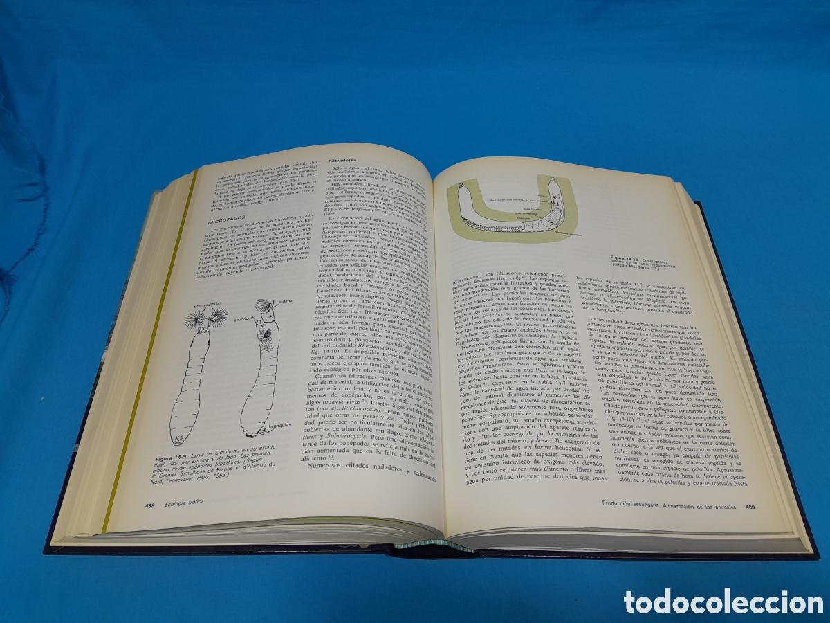 Libros de segunda mano: ECOLOG&Iacute;A - RAM&Oacute;N MENGUAL, 1986 - Foto 6
