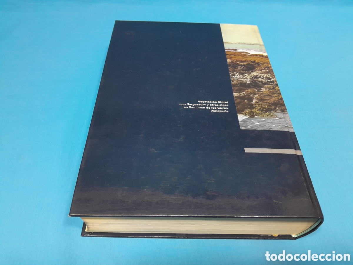 Libros de segunda mano: ECOLOG&Iacute;A - RAM&Oacute;N MENGUAL, 1986 - Foto 7