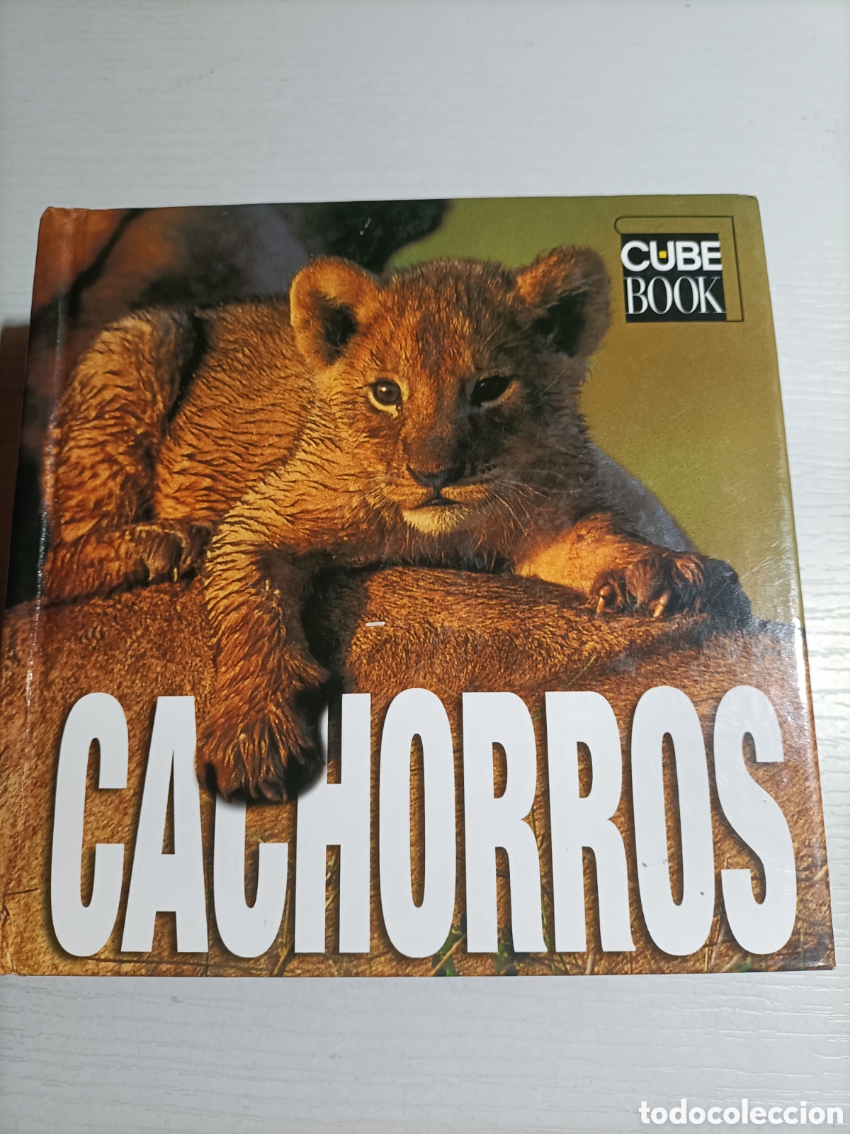 Libros de segunda mano: Cachorros Cube Book. Librer&iacute;a universitaria - Foto 2