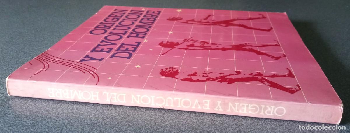 Libros de segunda mano: Origen Y Evoluci&oacute;n Del Hombre - Foto 2