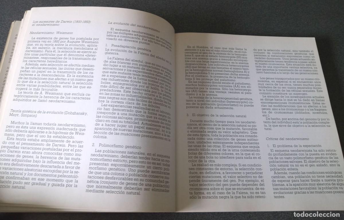 Libros de segunda mano: Origen Y Evoluci&oacute;n Del Hombre - Foto 8