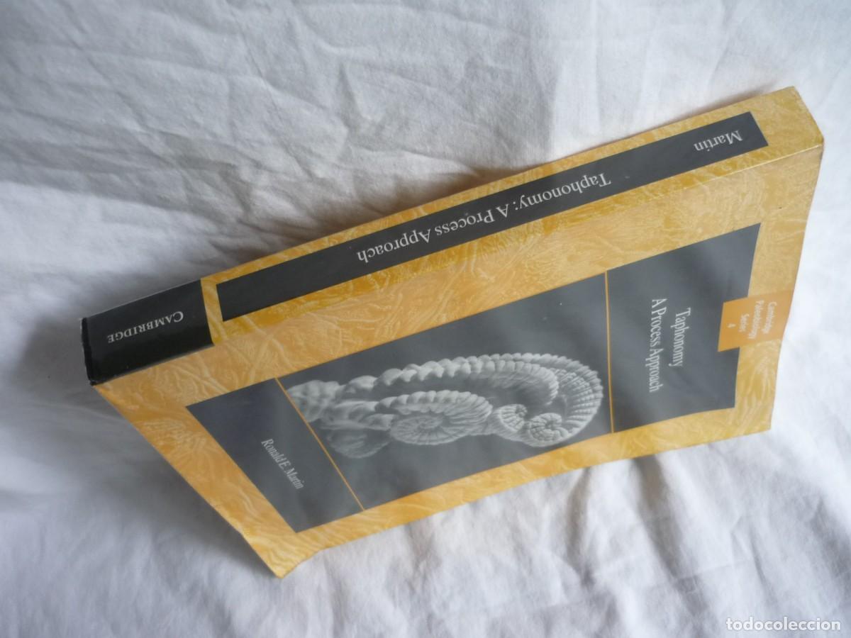 Libros de segunda mano: Thaphonomy, a process aproach, R.E. Martin 1999, en ingl&eacute;s - Foto 3