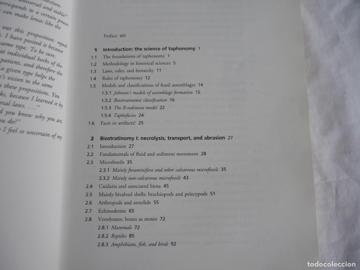 Libros de segunda mano: Thaphonomy, a process aproach, R.E. Martin 1999, en ingl&eacute;s - Foto 8