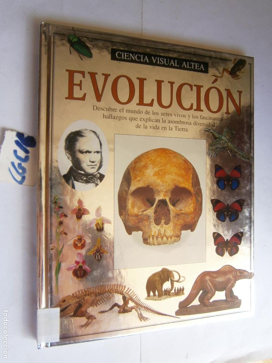 Libros de segunda mano: ---- EVOLUCION ----- - Foto 1