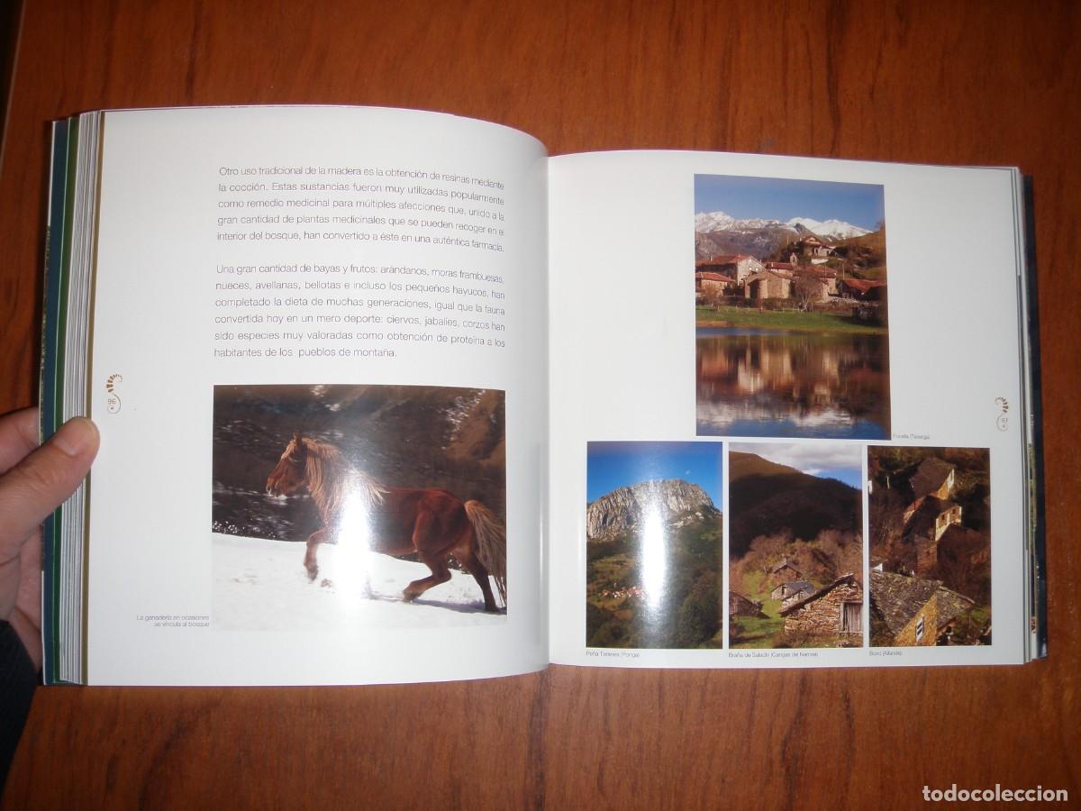 Libros de segunda mano: BOSQUES DE ENCANTO JULIO HERRERA - Foto 5