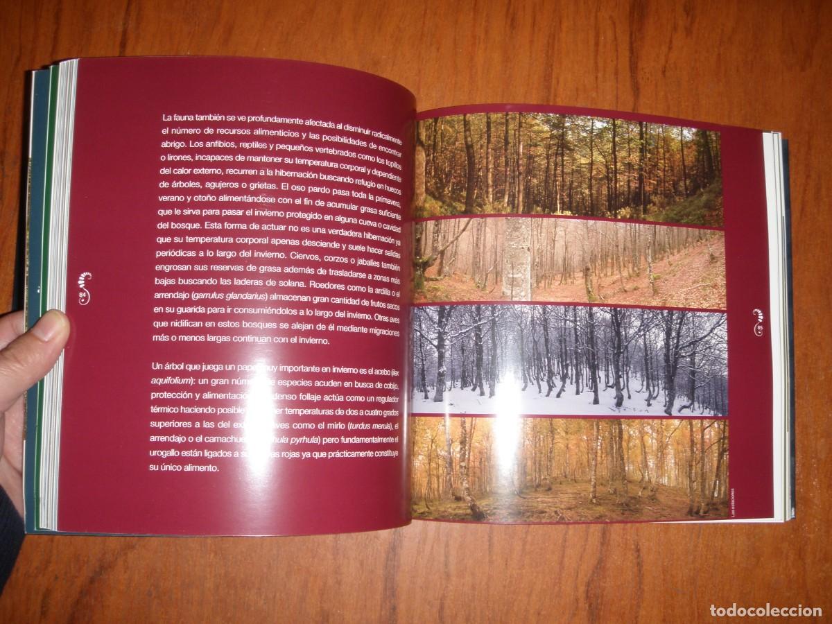 Libros de segunda mano: BOSQUES DE ENCANTO JULIO HERRERA - Foto 6