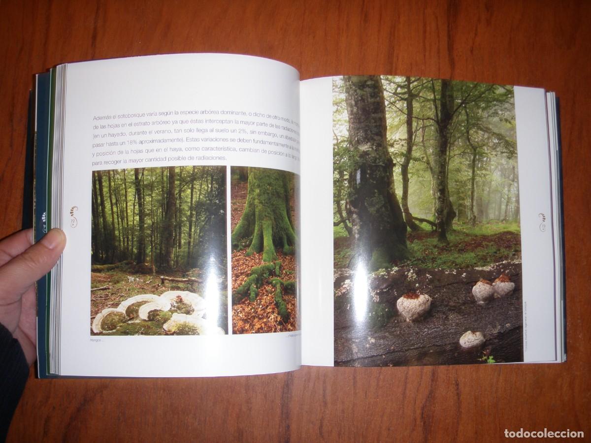 Libros de segunda mano: BOSQUES DE ENCANTO JULIO HERRERA - Foto 7