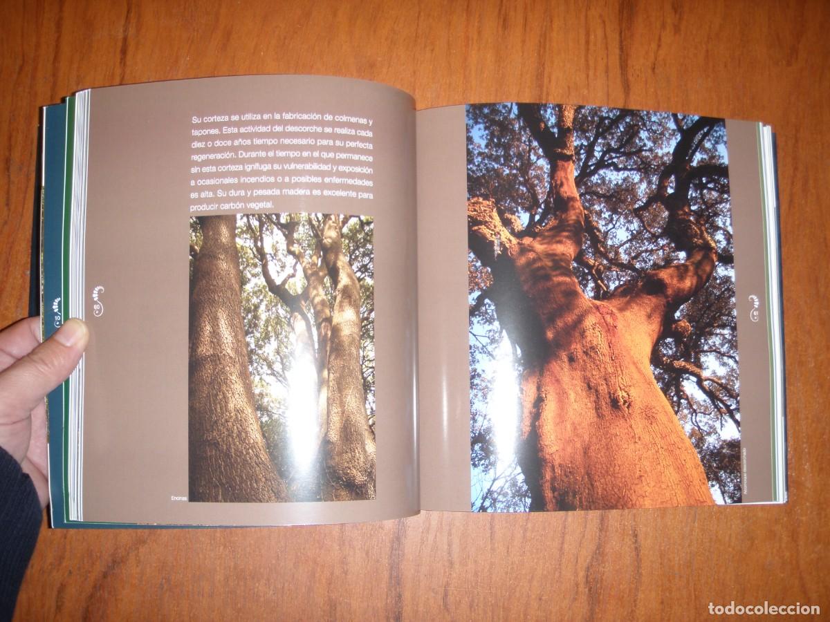 Libros de segunda mano: BOSQUES DE ENCANTO JULIO HERRERA - Foto 8