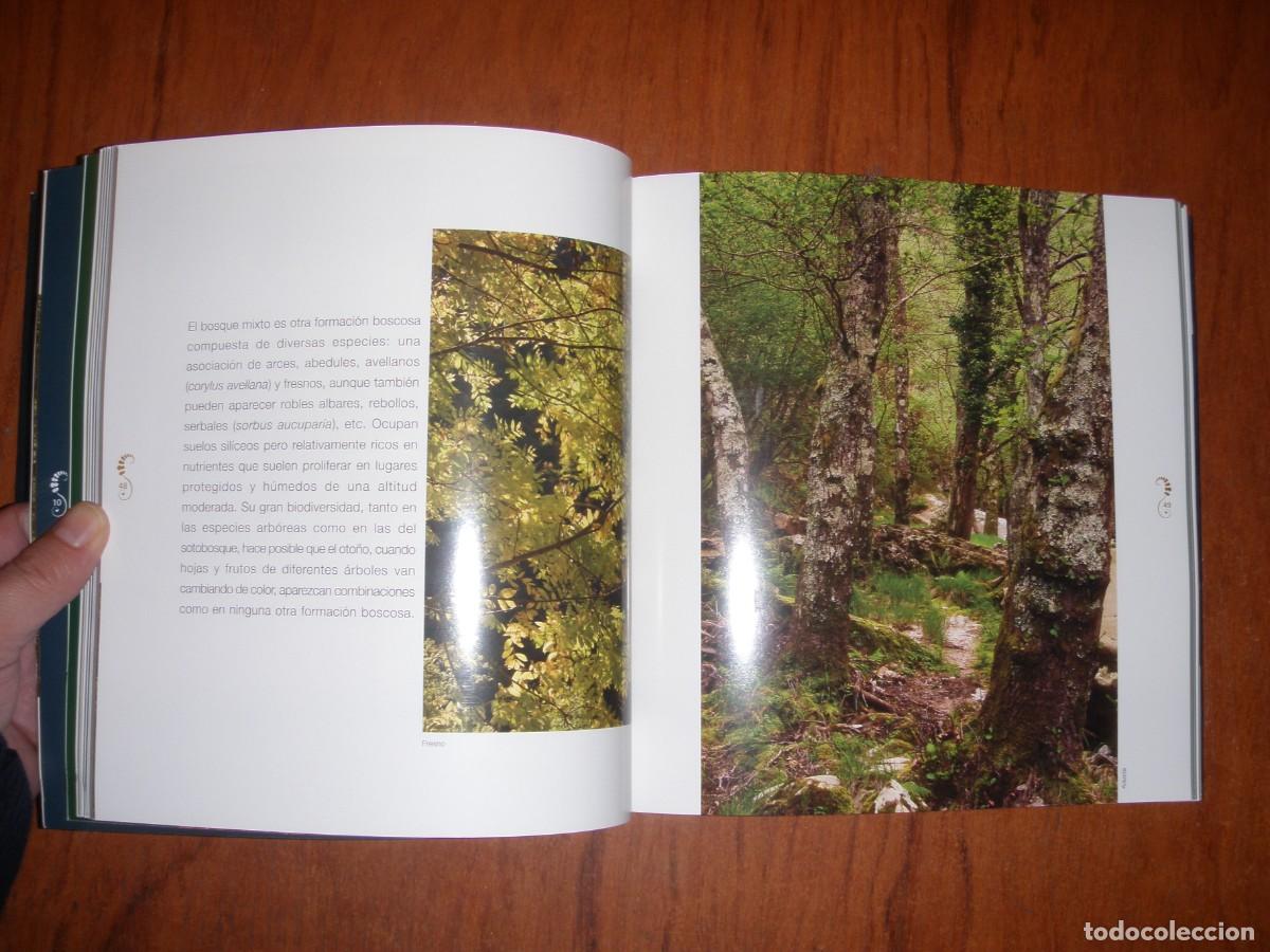 Libros de segunda mano: BOSQUES DE ENCANTO JULIO HERRERA - Foto 9