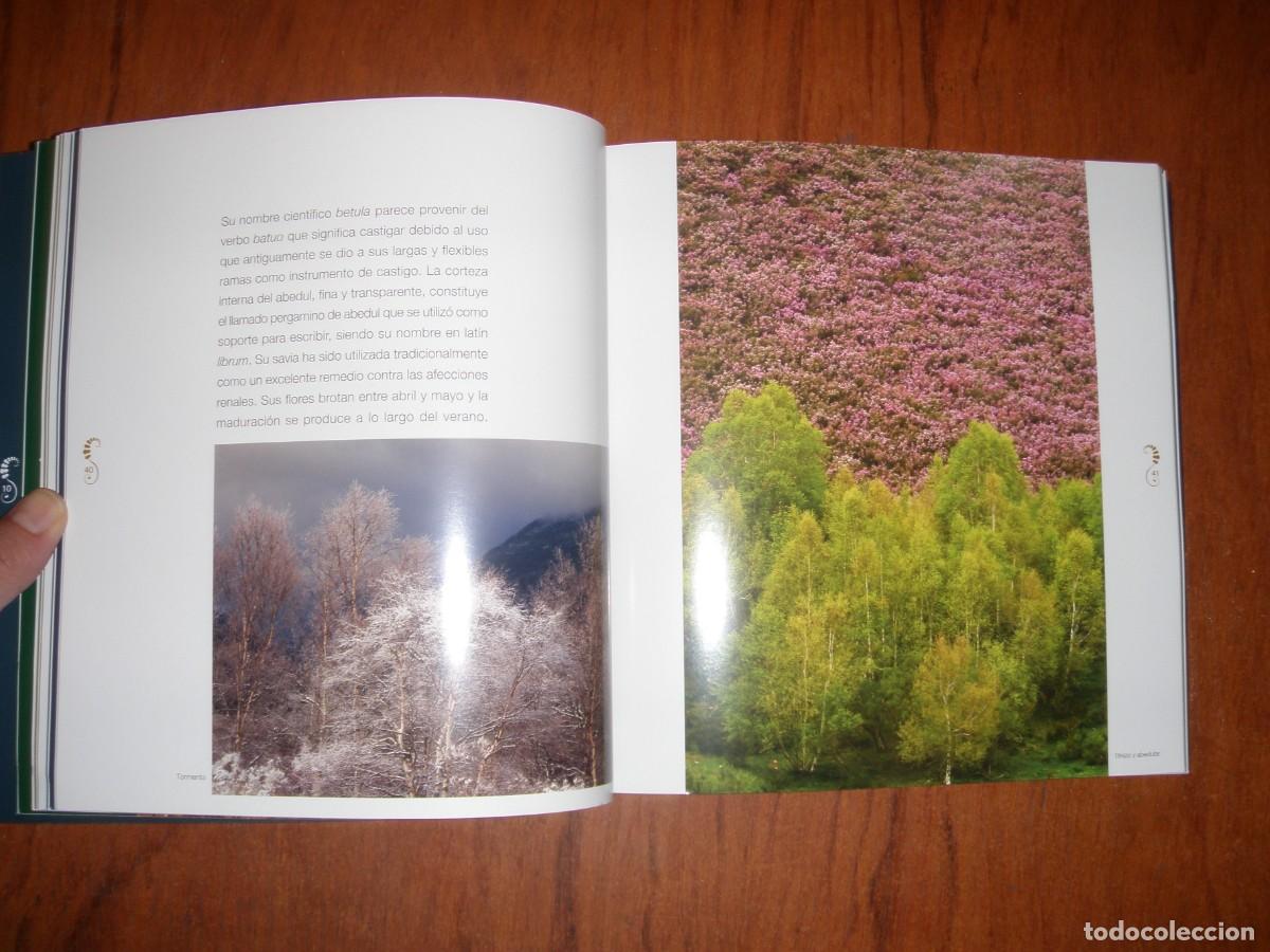 Libros de segunda mano: BOSQUES DE ENCANTO JULIO HERRERA - Foto 10
