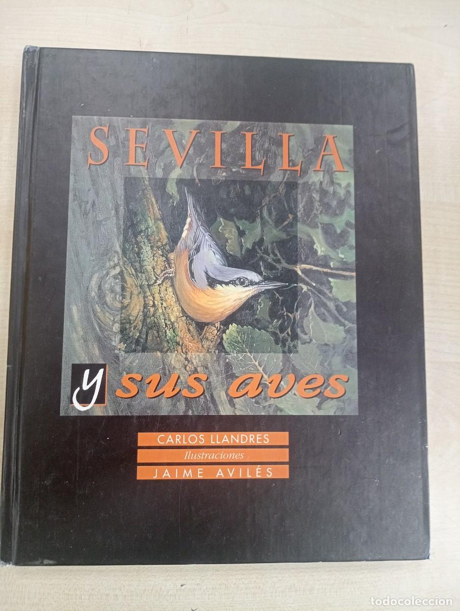 Libros de segunda mano: SEVILLA Y SUS AVES - CARLOS LLANDRES - Foto 1
