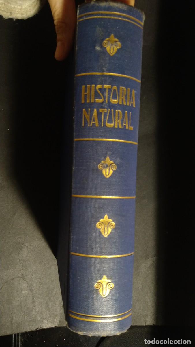 Libros de segunda mano: HISTORIA NATURAL - EDITORIAL SOPENA - Foto 3