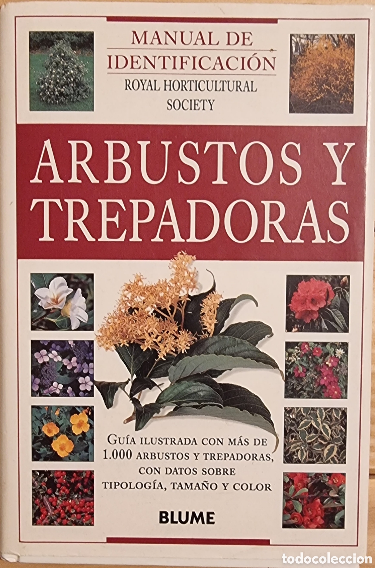 Libros de segunda mano: ARBUSTOS Y TREPADORAS - Foto 1