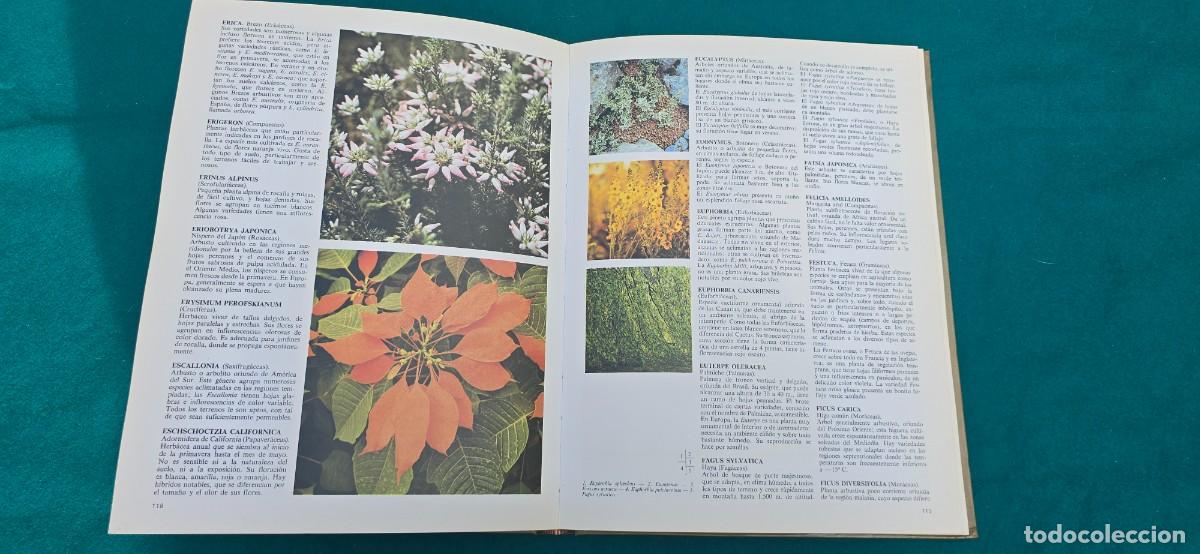 Libros de segunda mano: LIBRO PLANTAS Y FLORES (1981) EDIT. EVEREST - Foto 5