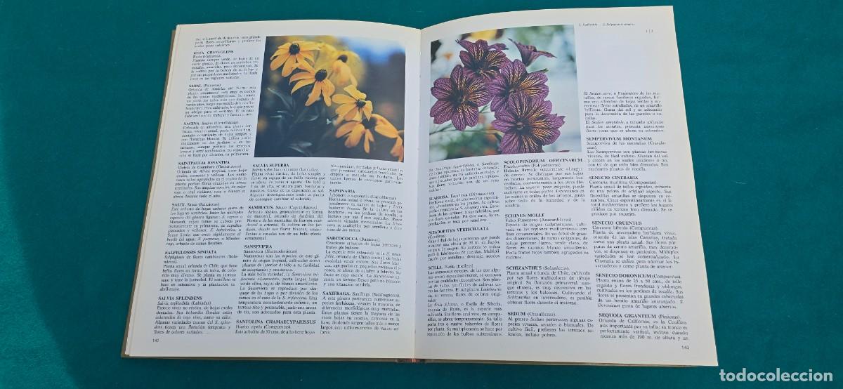 Libros de segunda mano: LIBRO PLANTAS Y FLORES (1981) EDIT. EVEREST - Foto 6