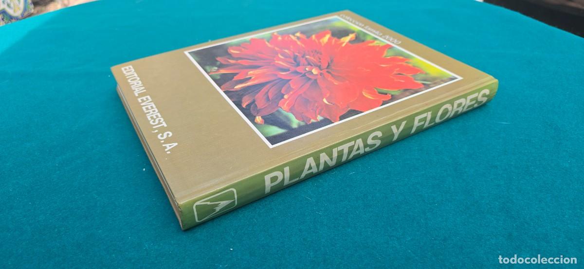 Libros de segunda mano: LIBRO PLANTAS Y FLORES (1981) EDIT. EVEREST - Foto 8