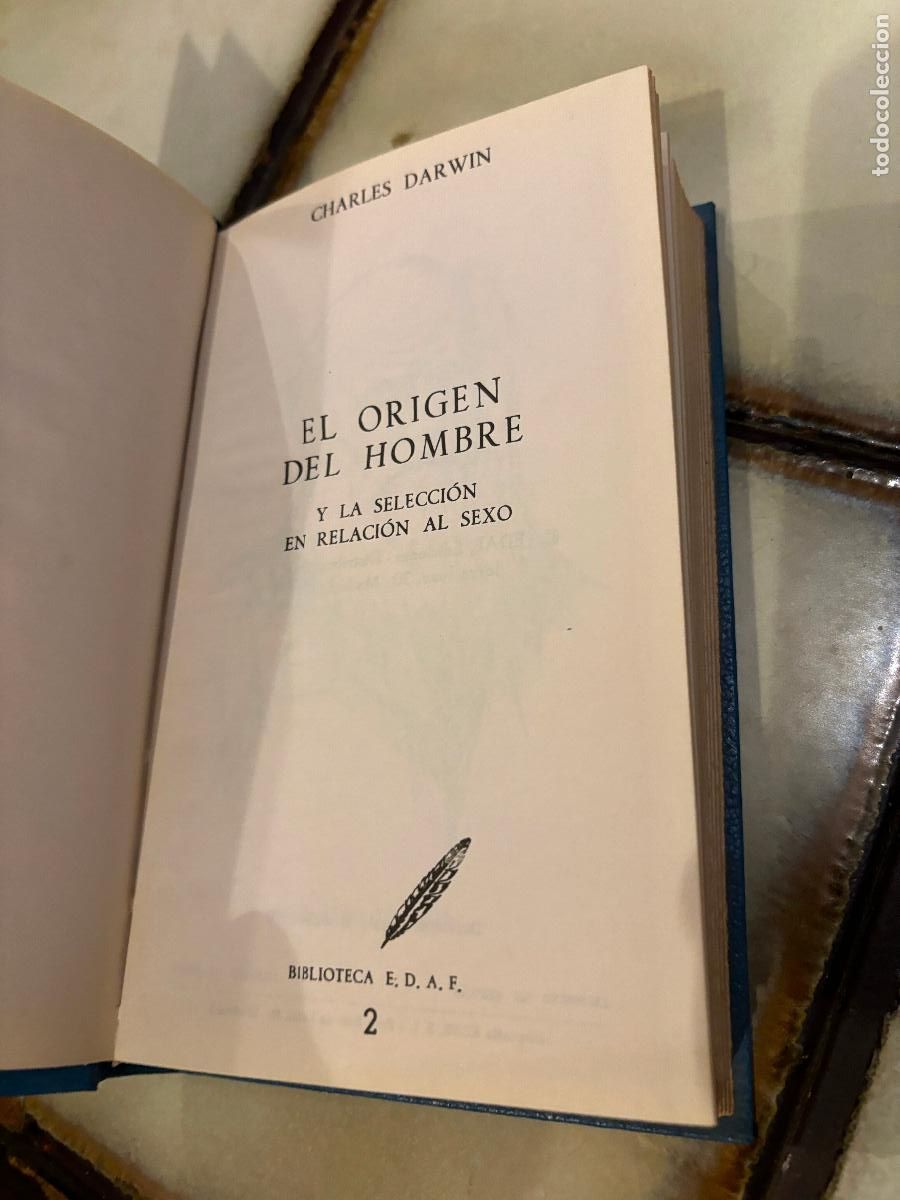 Libros de segunda mano: El origen del hombre. Charles Darwin. Edaf. PEDIDO M&Iacute;NIMO 5&euro; - Foto 2