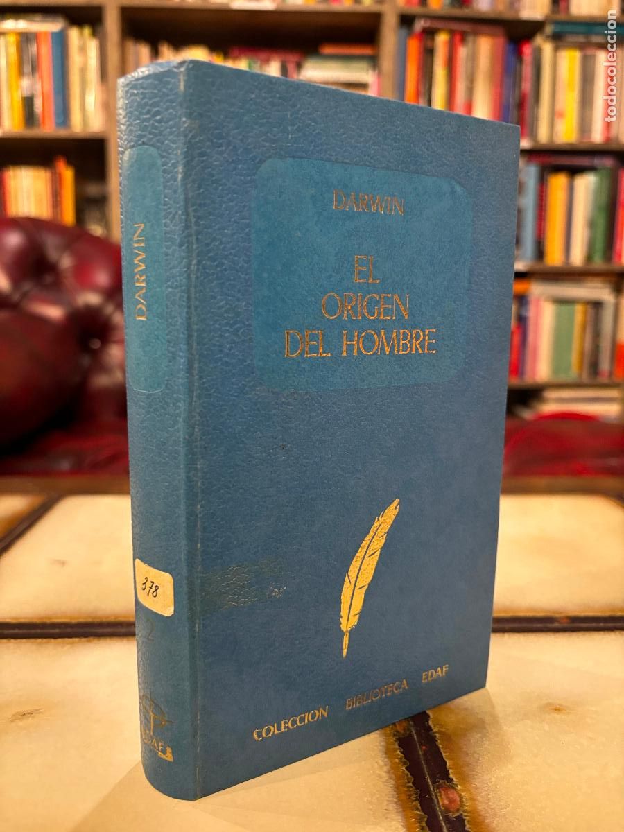 Libros de segunda mano: El origen del hombre. Charles Darwin. Edaf. PEDIDO M&Iacute;NIMO 5&euro; - Foto 1