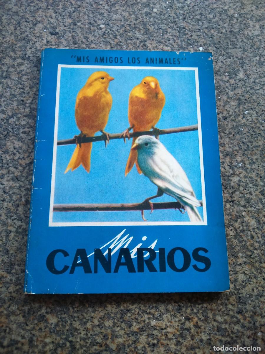 Libros de segunda mano: MIS CANARIOS -- GUSTAVO GIL EDITORIAL 1974 -- - Foto 1