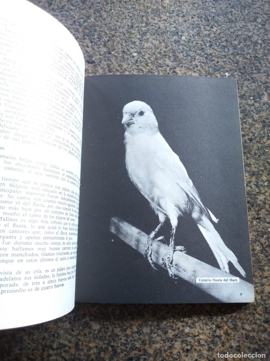 Libros de segunda mano: MIS CANARIOS -- GUSTAVO GIL EDITORIAL 1974 -- - Foto 2