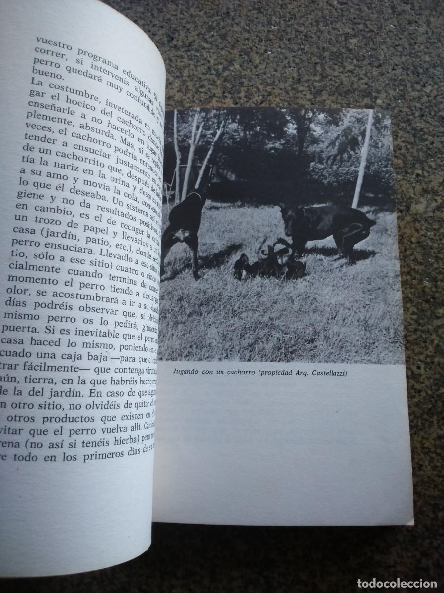 Libros de segunda mano: EL DOBERMANN -- FIORENZO FIORONE -- DE VECCHI 1982 -- - Foto 2