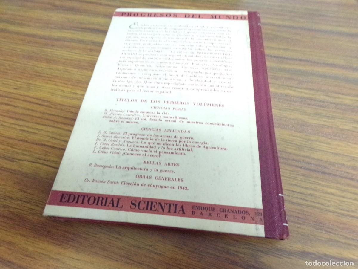 Libros de segunda mano de ciencias: ESTAMOS LIQUIDANDO. LUIS CREUS VIDAL - &iquest;CONOCES EL ACERO? EDITORIAL SCIENTIA - Foto 5