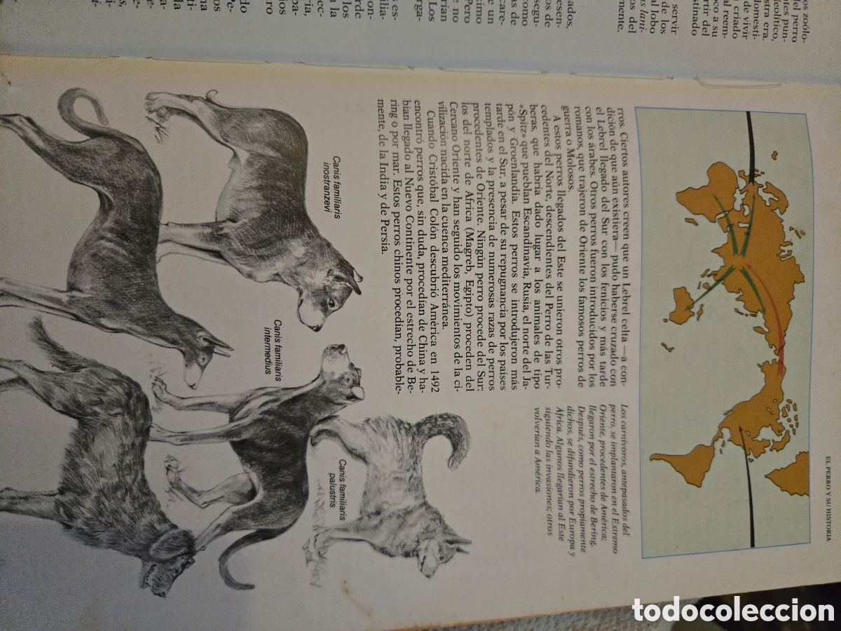 Libros de segunda mano: Nuestro amigo el perro,Readers Digest - Foto 9
