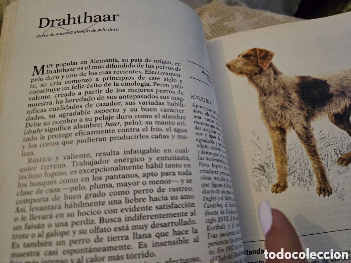 Libros de segunda mano: Nuestro amigo el perro,Readers Digest - Foto 10