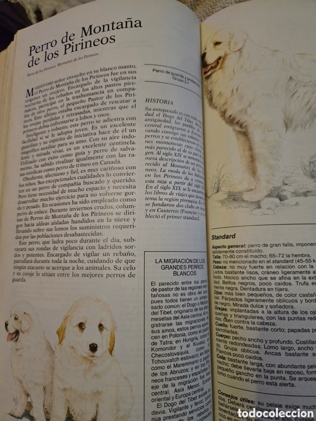 Libros de segunda mano: Nuestro amigo el perro,Readers Digest - Foto 11