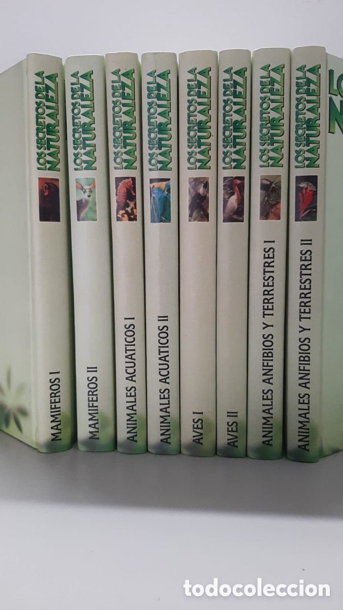 Libros de segunda mano: LOS SECRETOS DE LA NATURALEZA - Foto 1