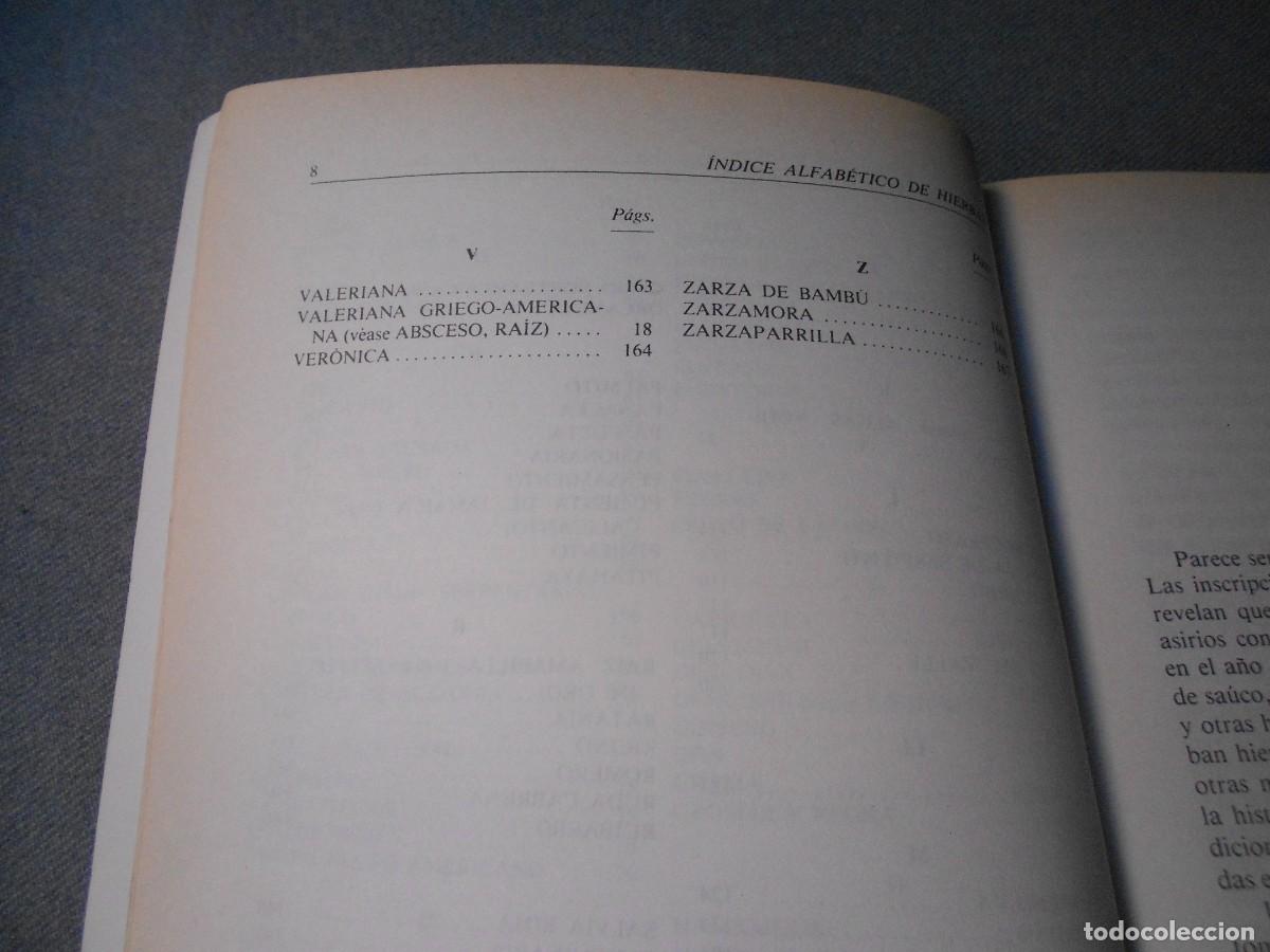 Libros de segunda mano: MODERNA ENCICLOPEDIA DE HIERBAS - Foto 5