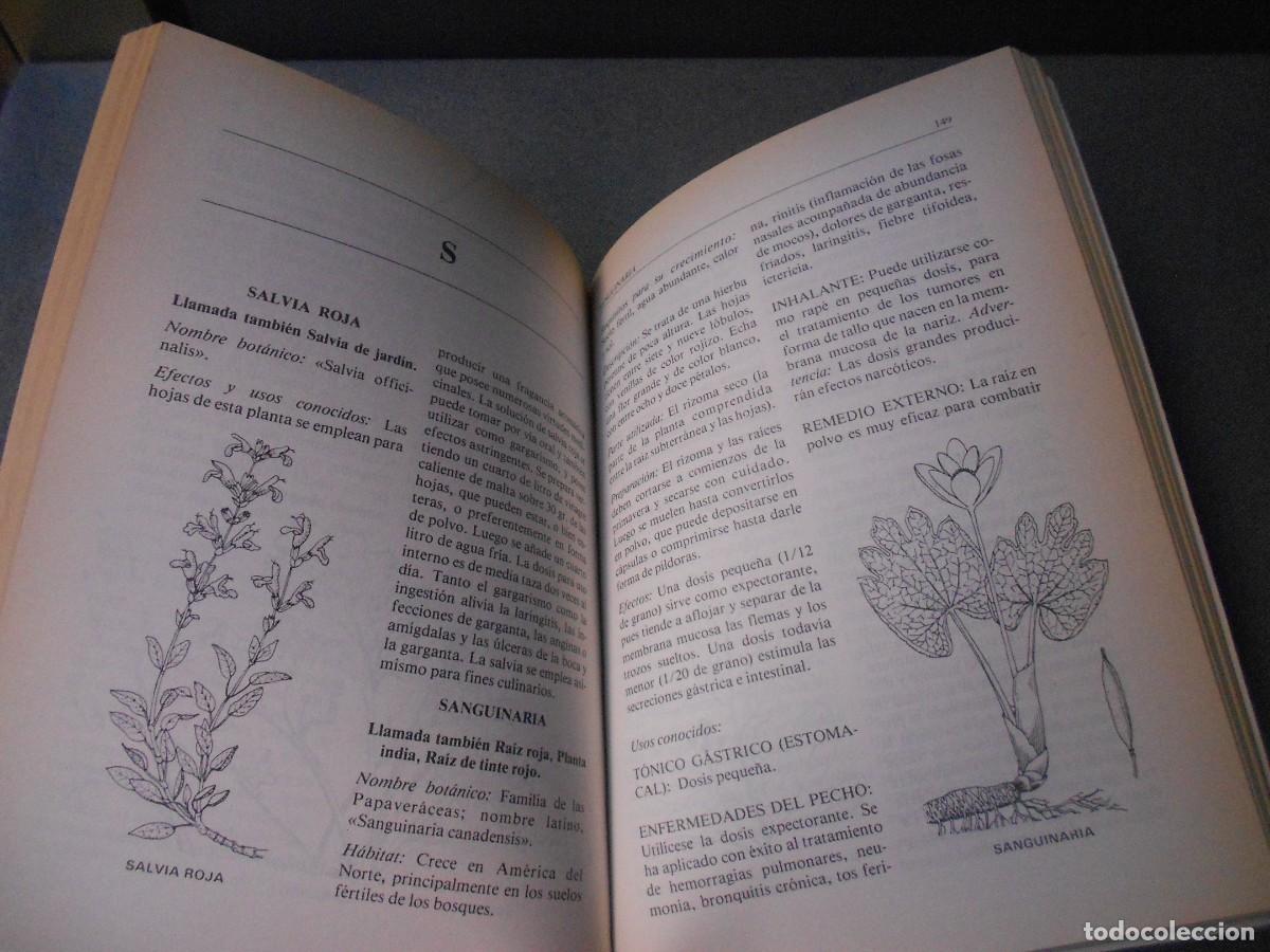 Libros de segunda mano: MODERNA ENCICLOPEDIA DE HIERBAS - Foto 6