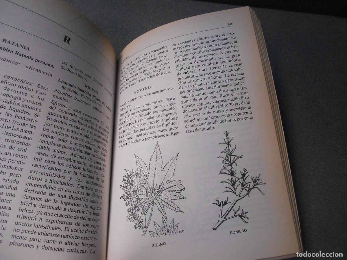 Libros de segunda mano: MODERNA ENCICLOPEDIA DE HIERBAS - Foto 7