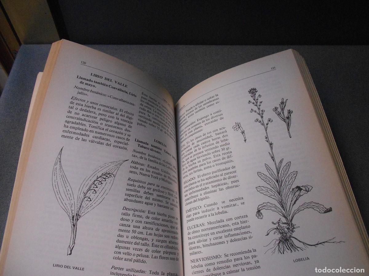 Libros de segunda mano: MODERNA ENCICLOPEDIA DE HIERBAS - Foto 8