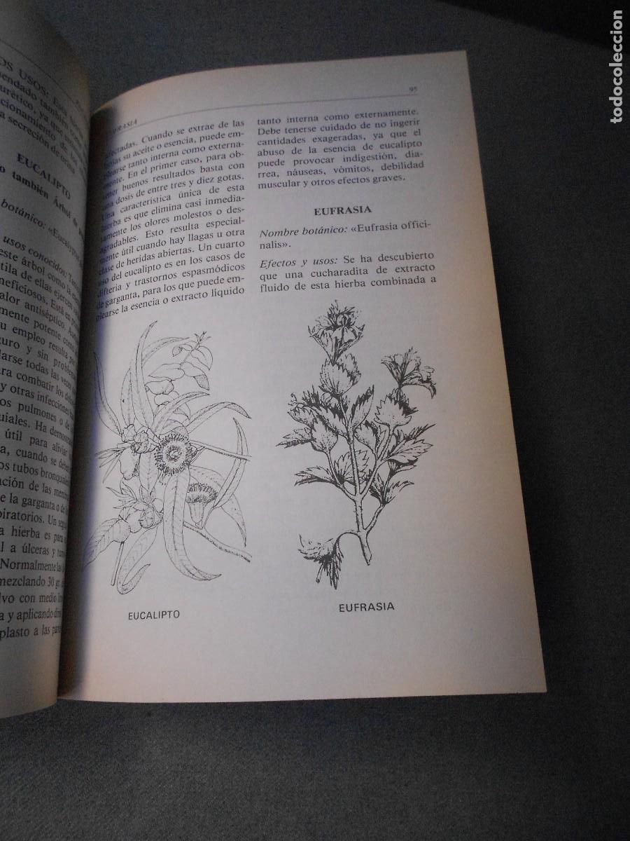 Libros de segunda mano: MODERNA ENCICLOPEDIA DE HIERBAS - Foto 9