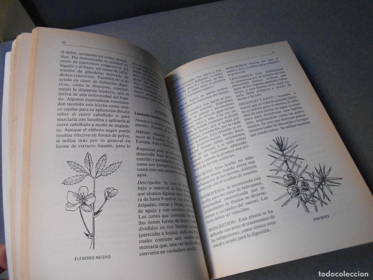 Libros de segunda mano: MODERNA ENCICLOPEDIA DE HIERBAS - Foto 10