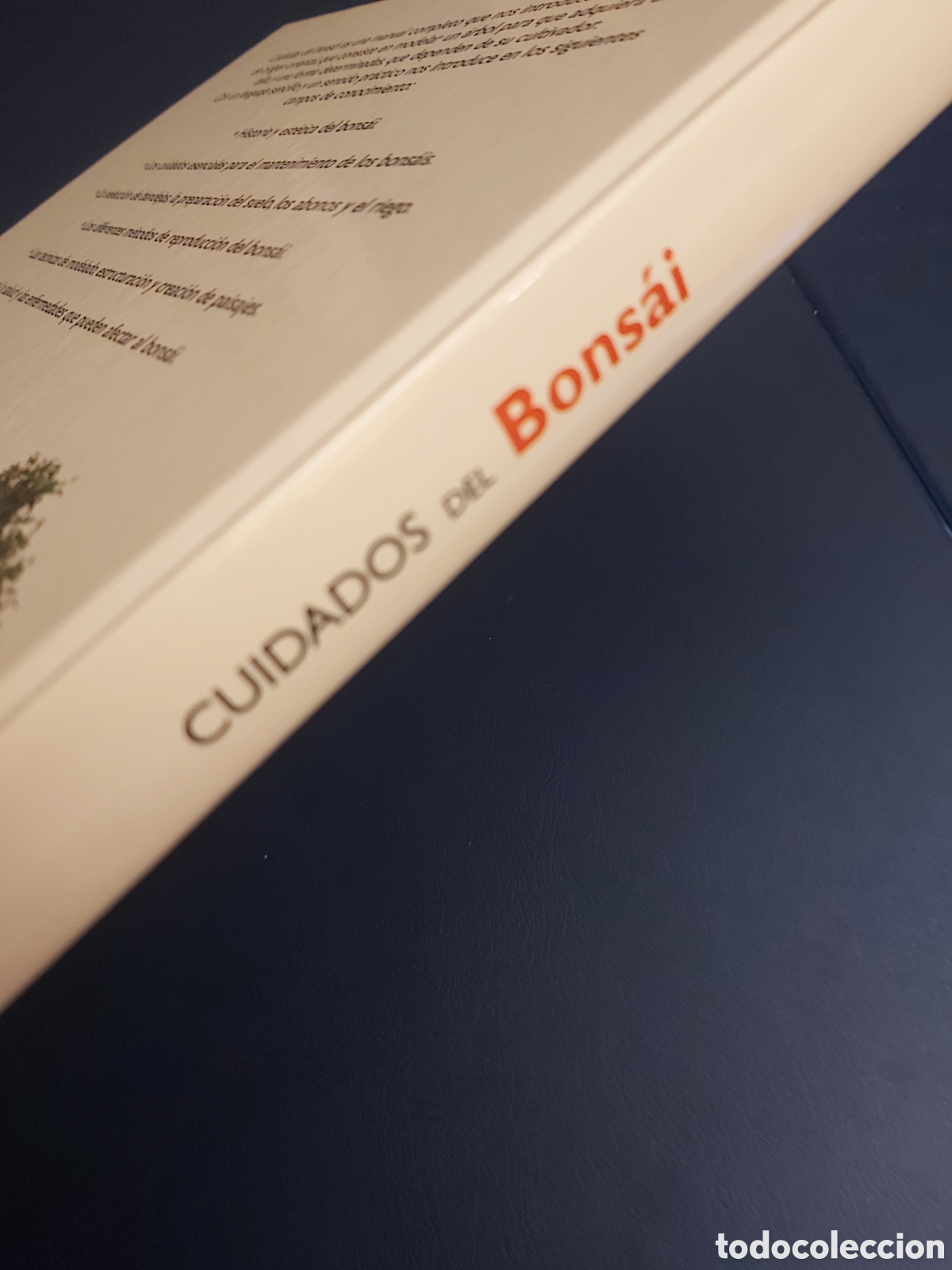 Libros de segunda mano: QUELA LIBRO. CUIDADOS DEL BONS&Aacute;I JORGE KINJO LIBSA 2005 - Foto 2