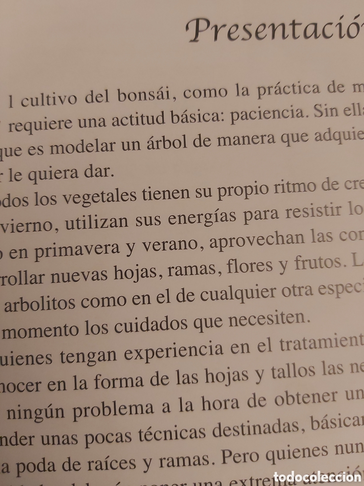 Libros de segunda mano: QUELA LIBRO. CUIDADOS DEL BONS&Aacute;I JORGE KINJO LIBSA 2005 - Foto 6
