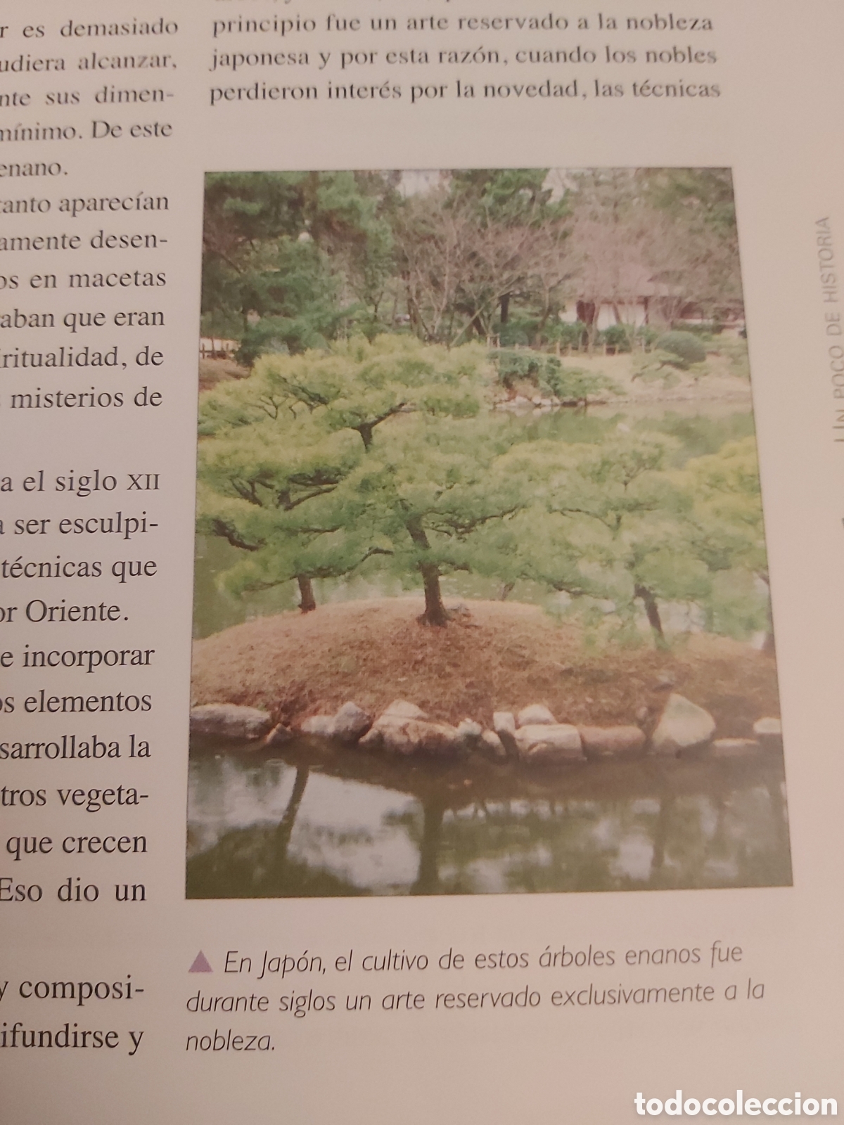 Libros de segunda mano: QUELA LIBRO. CUIDADOS DEL BONS&Aacute;I JORGE KINJO LIBSA 2005 - Foto 7