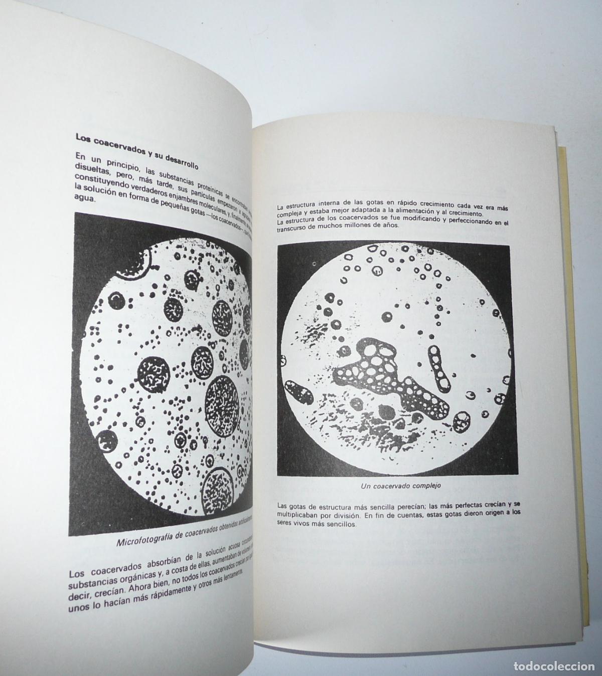 Libros de segunda mano: El origen de la vida - A. I. Oparin (Editorial Oc&eacute;ano, 1982) - Foto 3