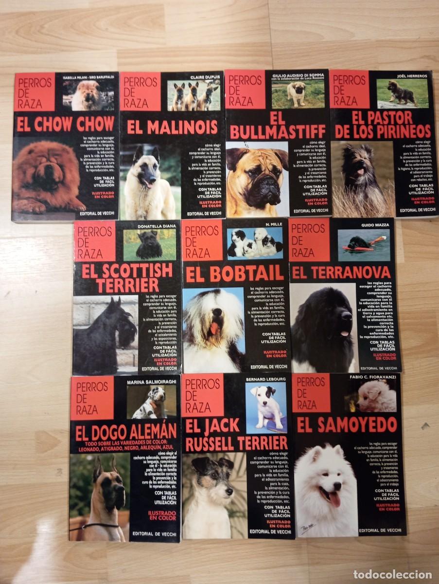 Libros de segunda mano: Lote de 10 libros de Perros de raza. Editorial de Vecchi - Foto 1