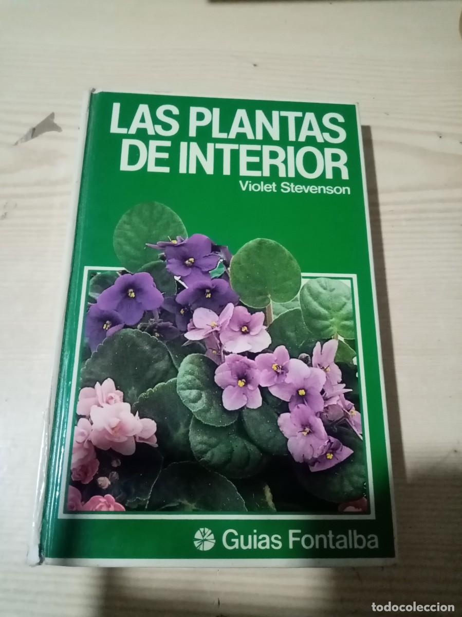 Libros de segunda mano: LAS PLANTAS DE INTERIOR VIOLET STEVENSON. EST5B1 - Foto 1