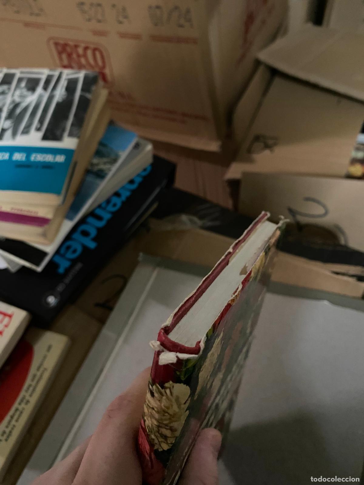 Libros de segunda mano: APRENDAMOS A CULTIVAR LAS FLORES (AUGUSTA MIGNUCCI) EDIT. DE VECCHI- - Foto 2