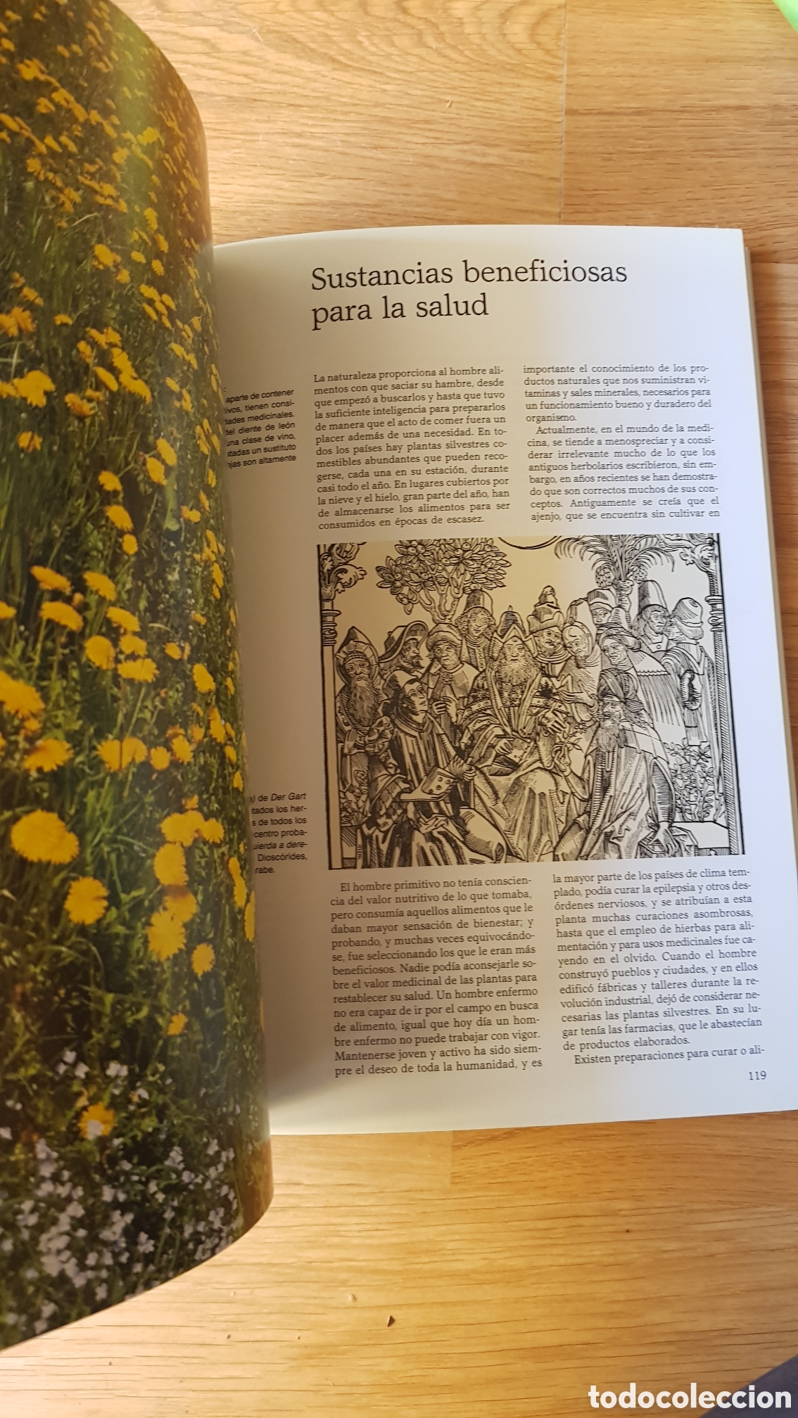 Libros de segunda mano: Plantas silvestres comestibles - Foto 3