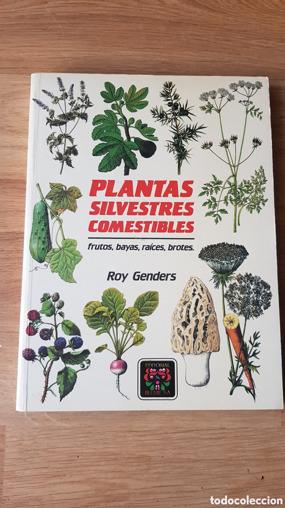 Libros de segunda mano: Plantas silvestres comestibles - Foto 1